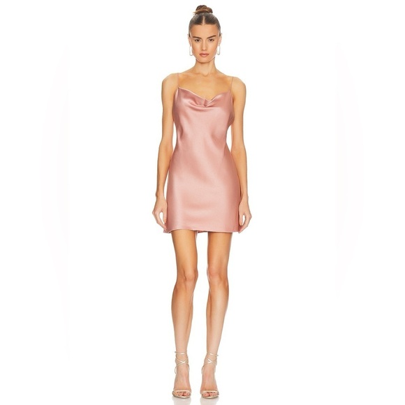 New! ALICE + OLIVIA Harmony Mini Slip Dress  in Burnt Rose 💕 size 6 NWT! - Picture 3 of 12